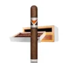 cao-vision-2022 for sale